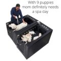 Microbubble Therapy Pet Spa Bath Tub