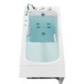 Ella Standard 30x52 Acrylic Hydro Therapy Massage Walk Dans La Baignoire