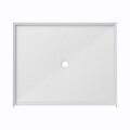 Ella Roll-in Wheelchair Accessible Shower Base 60x48 - Center Drain - ella roll in wheelchair accessible shower base 60x48 center drain 1 |